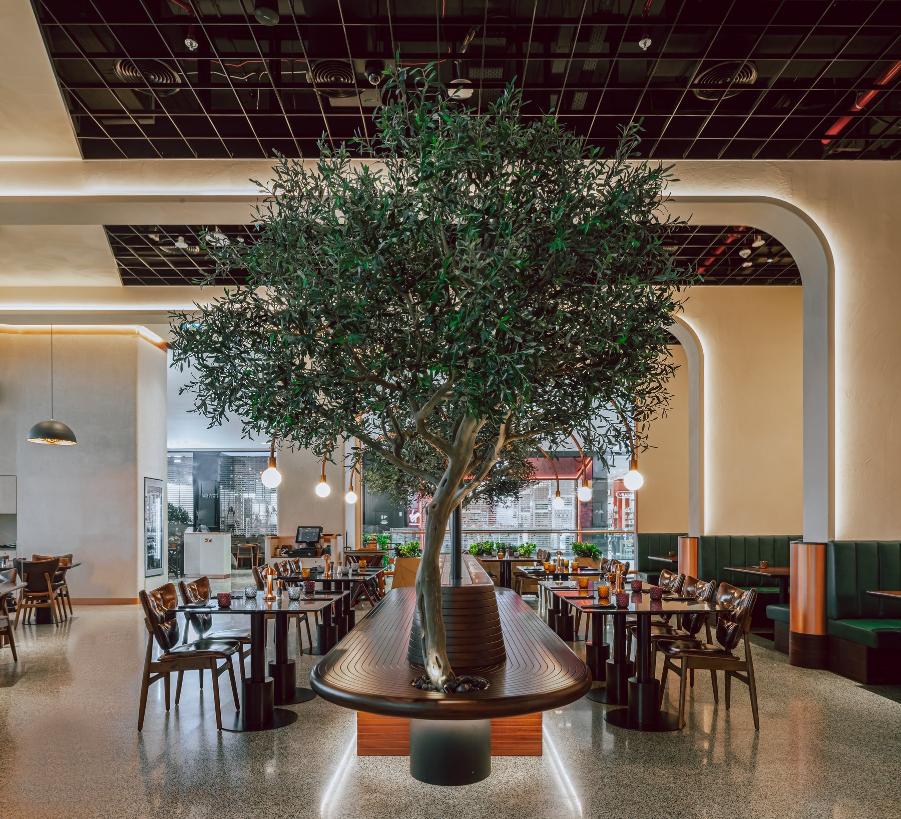 Restaurant interior built around an olive tree