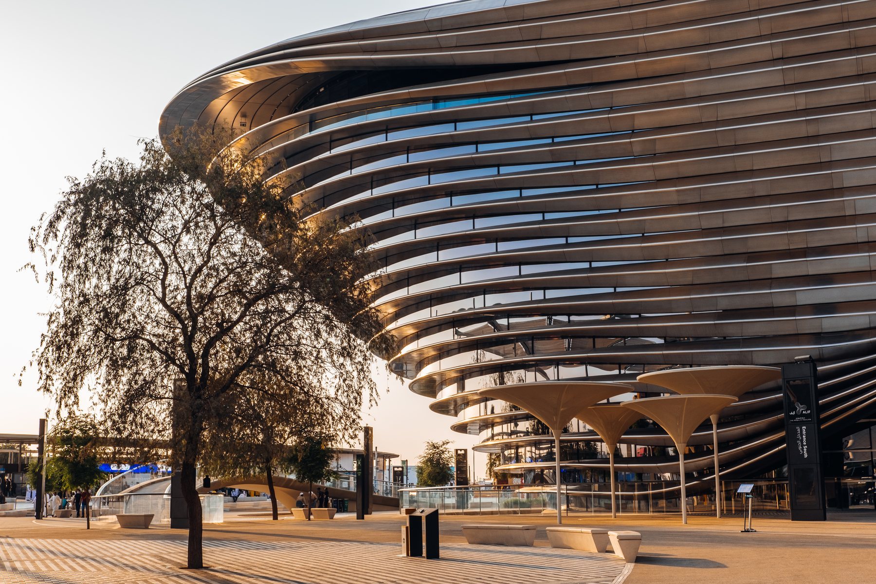 Curved timber-clad pavilion at golden hour